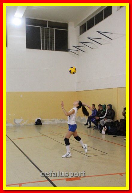 140305 Primula 144_tn.jpg